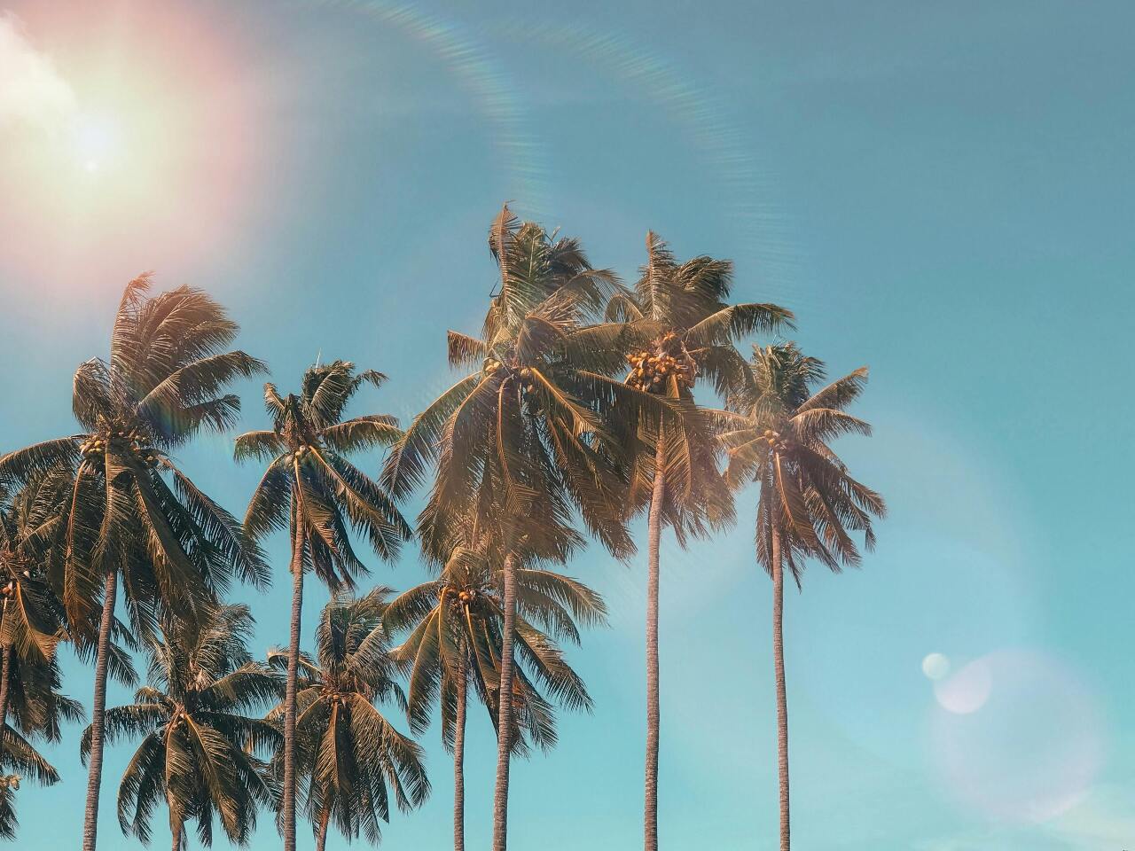 Welcome to the Summer