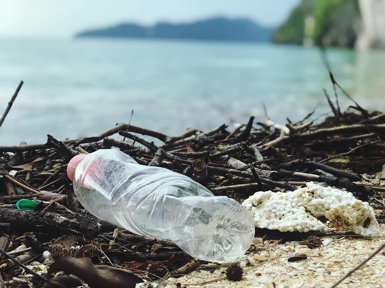 The Plastic Tide