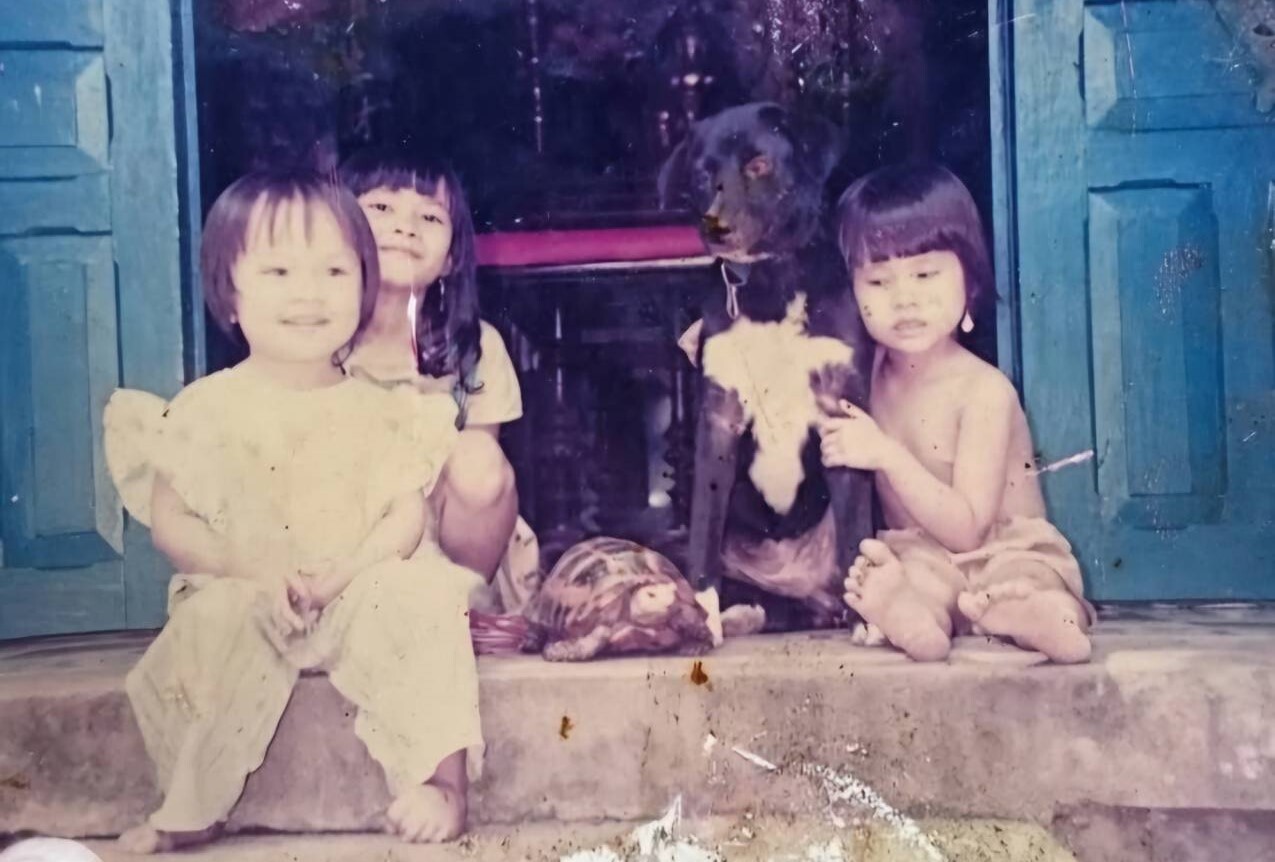 Kim & Amanda on the different Facets of Cat-Parenting
