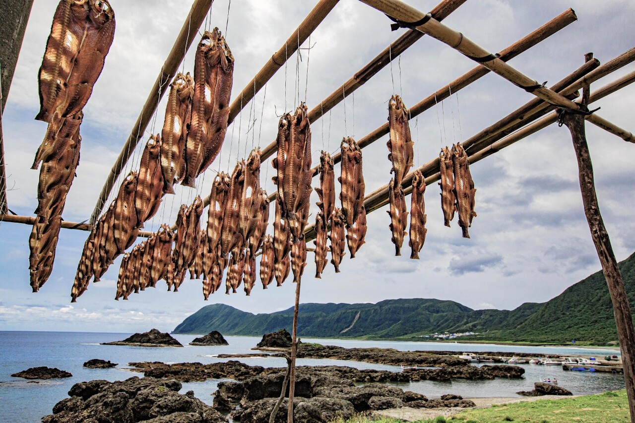 Flying fish: A seasonal ritual of the Tao peoples of Orchid Island